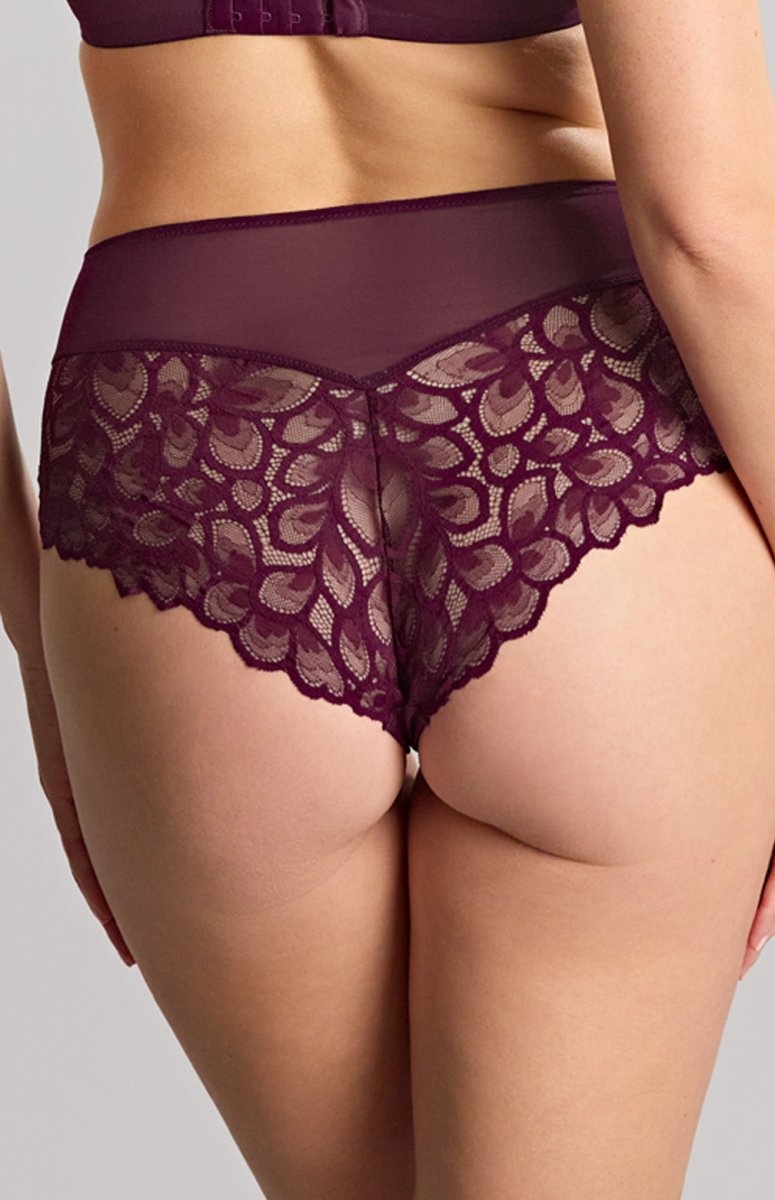 PanacheAllure Deep Brief 10764Bravo Bra Boutique
