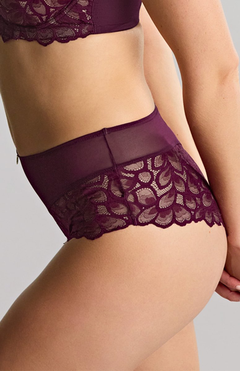 PanacheAllure Deep Brief 10764Bravo Bra Boutique