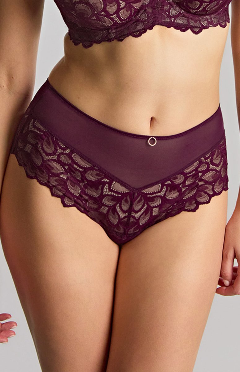 PanacheAllure Deep Brief 10764Bravo Bra Boutique
