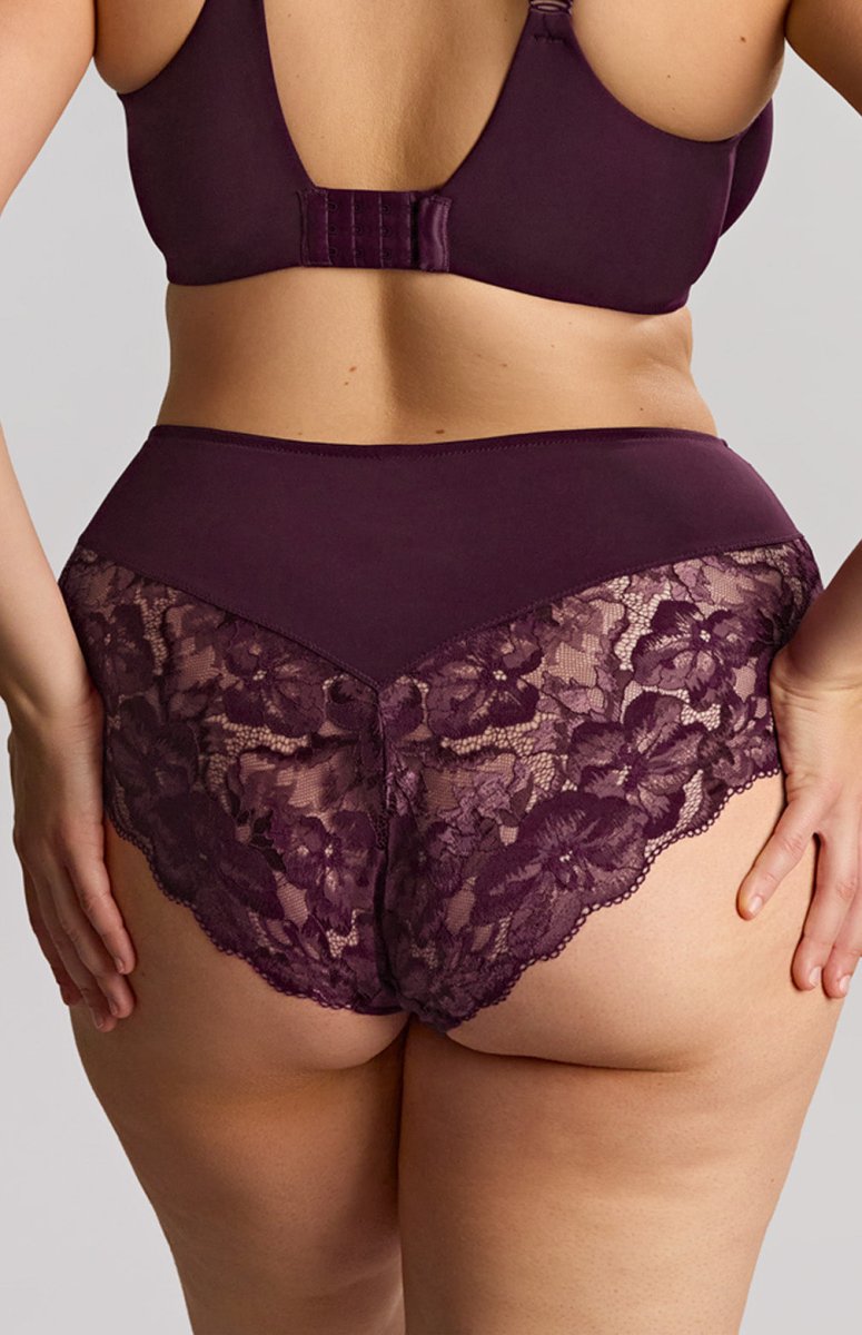 Sculptresse by PanacheAmara Deep Brief 11264Bravo Bra Boutique