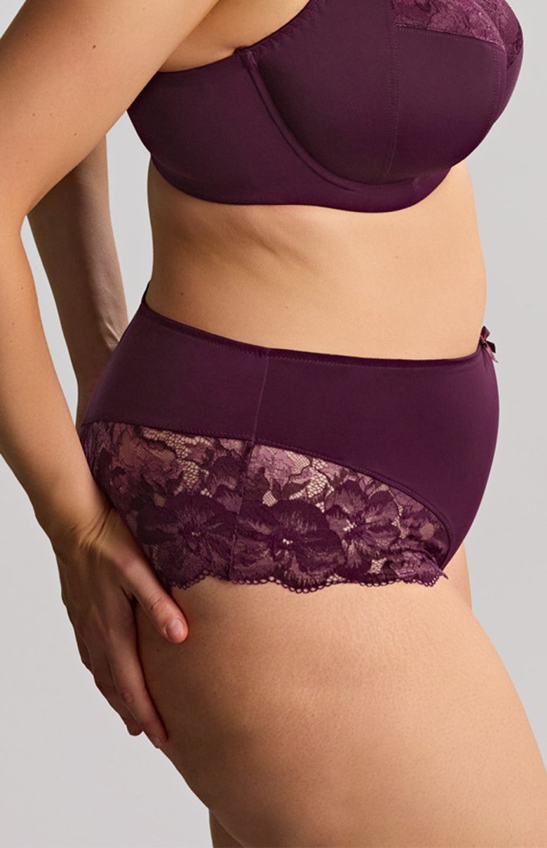 Sculptresse by PanacheAmara Deep Brief 11264Bravo Bra Boutique