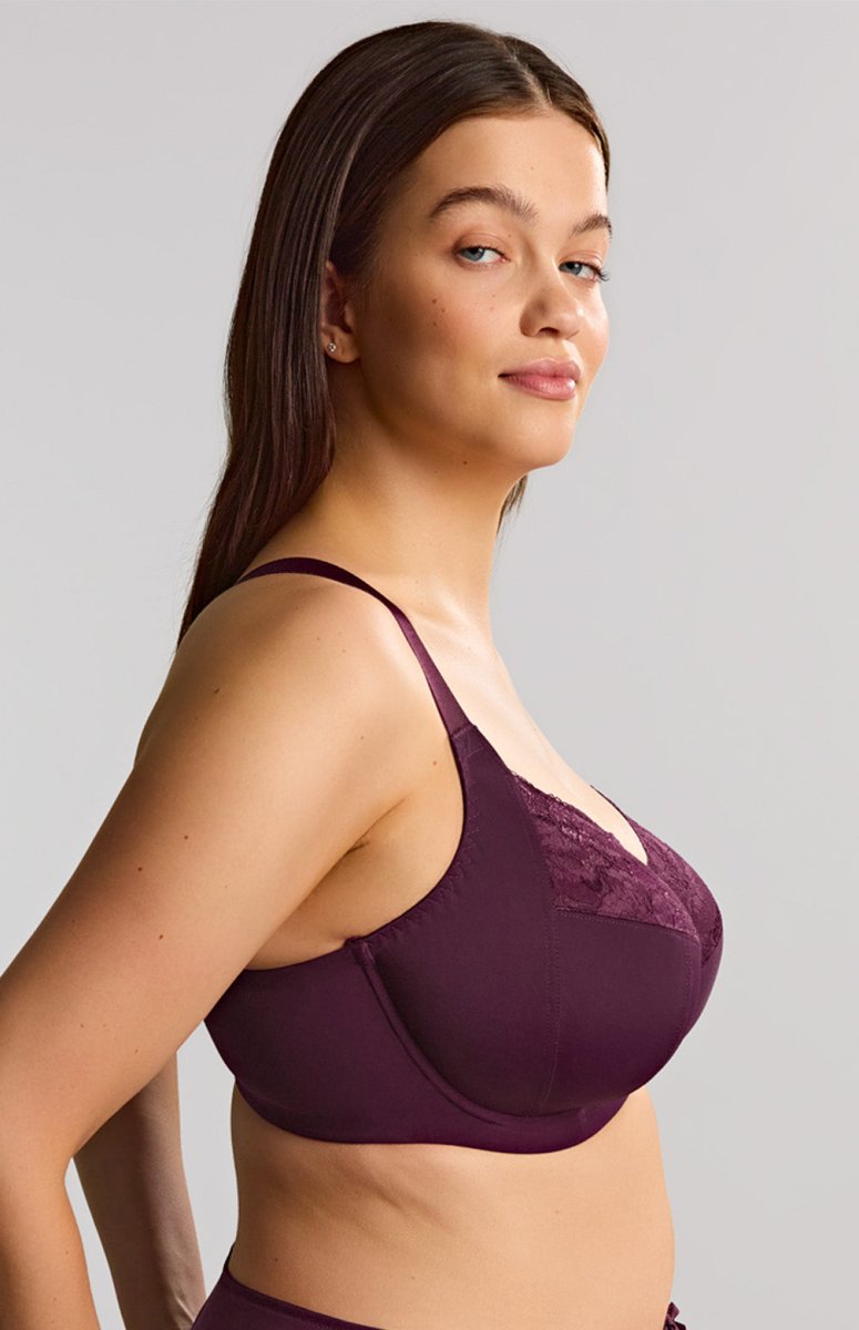 Sculptresse by PanacheAmara Full Cup Bra 11265Bravo Bra Boutique
