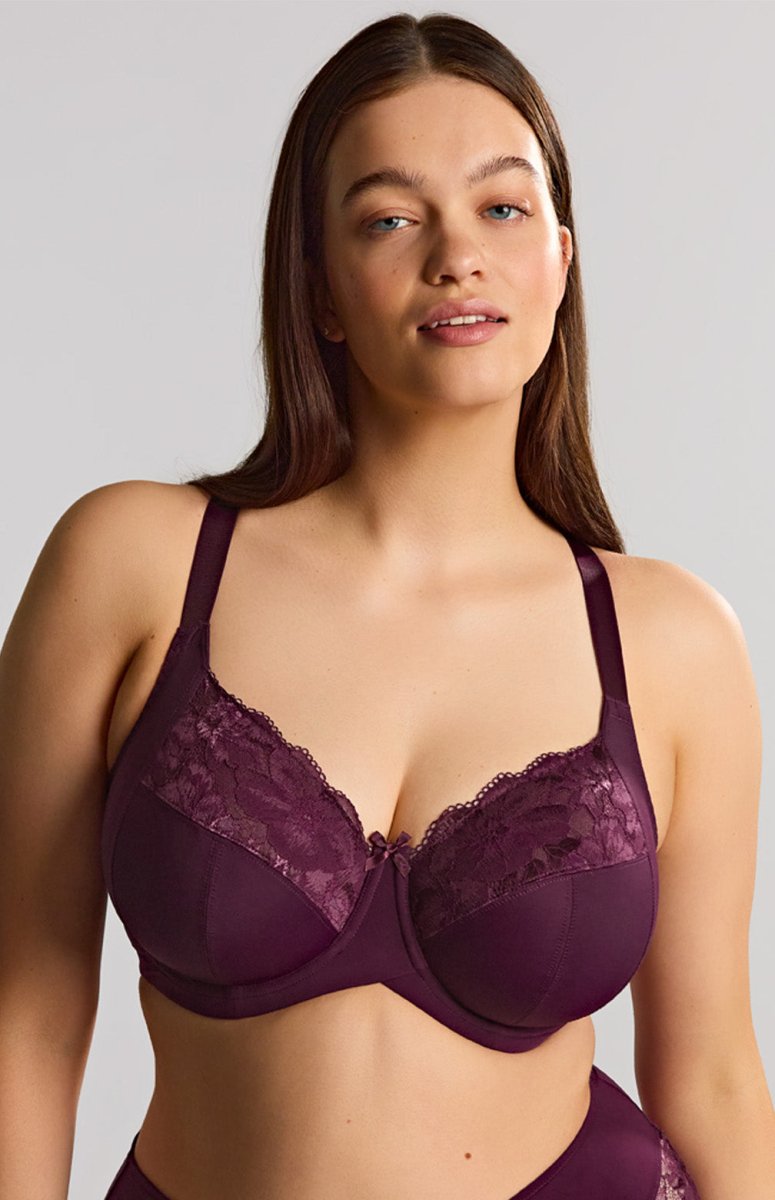 Sculptresse by PanacheAmara Full Cup Bra 11265Bravo Bra Boutique
