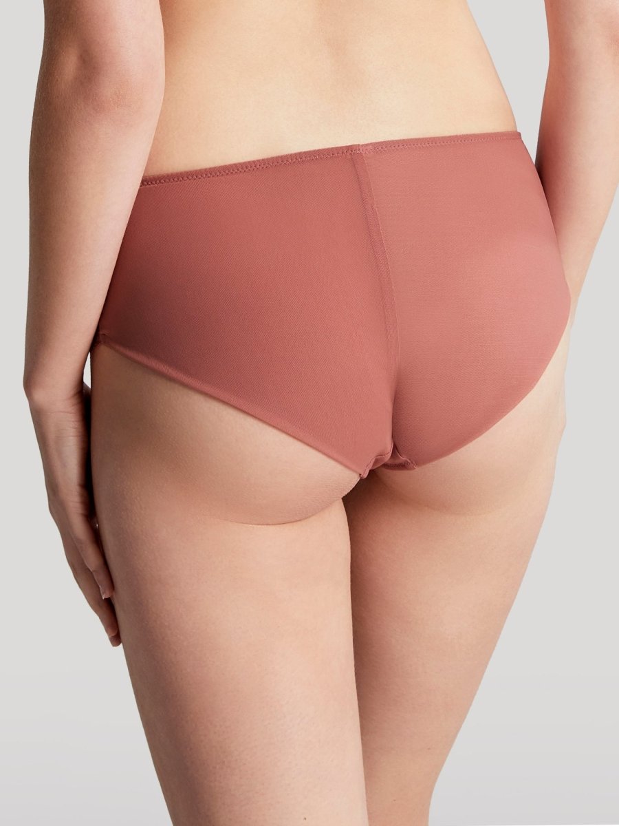 PanacheAna Brief 9395Bravo Bra Boutique