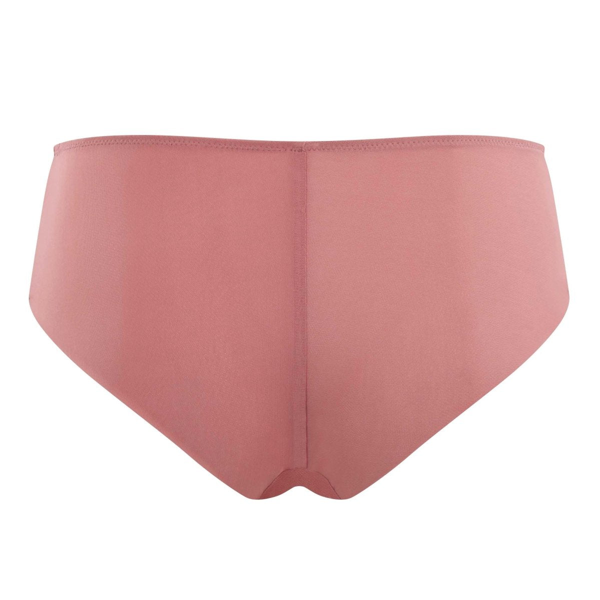 PanacheAna Brief 9395Bravo Bra Boutique