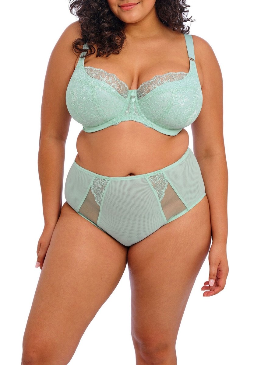ElomiBrianna Full Brief Panty Fashion Colors EL8085Bravo Bra Boutique