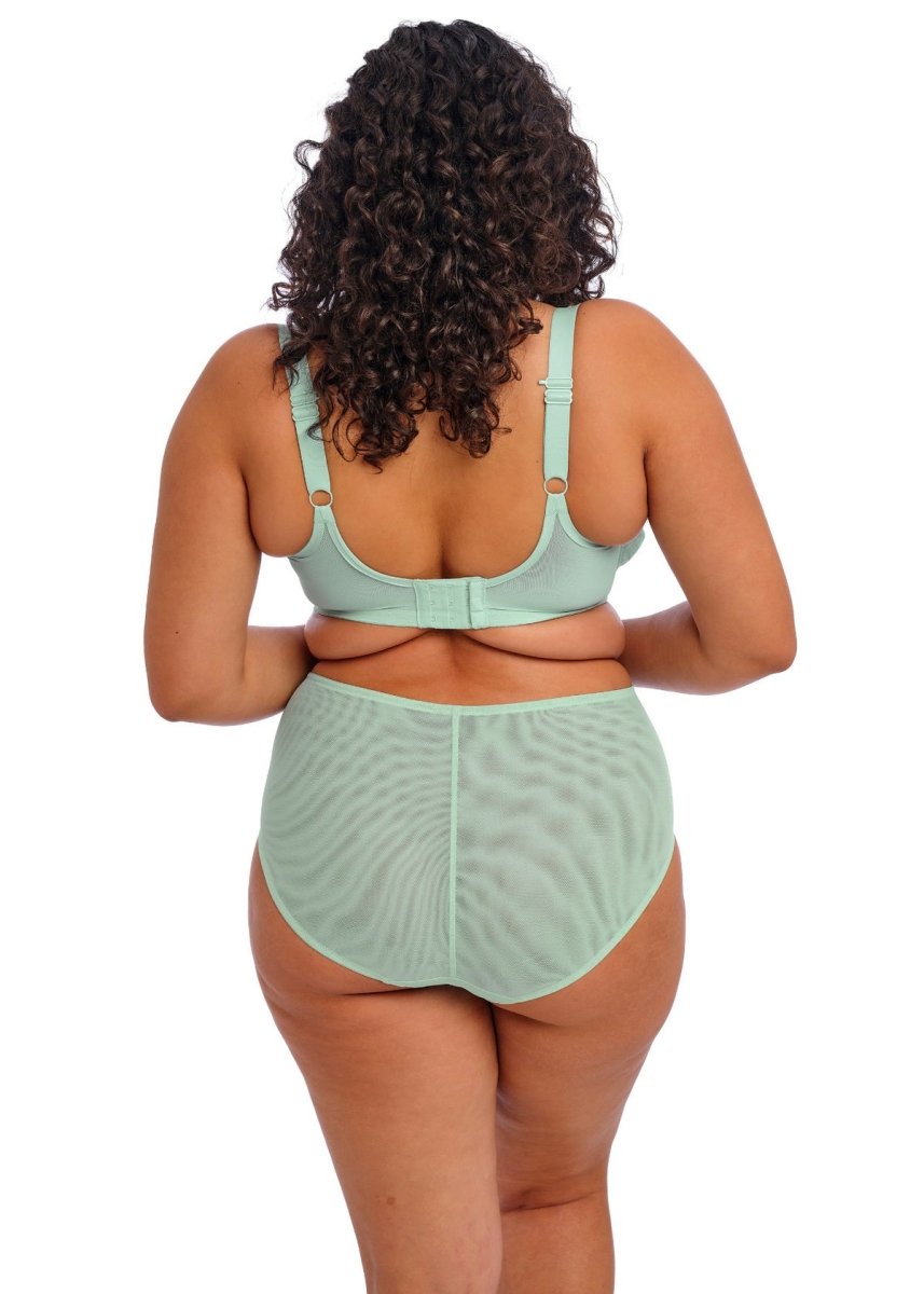 ElomiBrianna Full Brief Panty Fashion Colors EL8085Bravo Bra Boutique