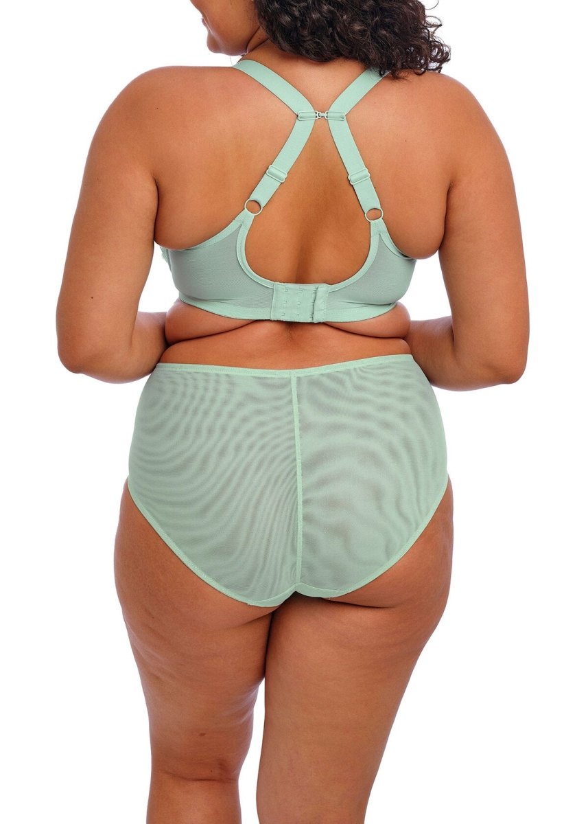 ElomiBrianna Padded Half Cup Bra EL8081Bravo Bra Boutique