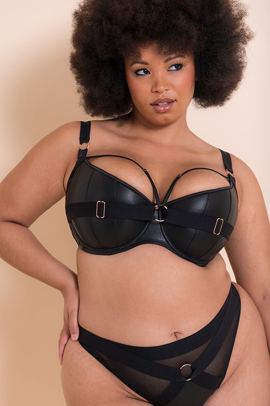Scantilly by Curvy KateHarnessed Thong Black ST008207BLKBravo Bra Boutique