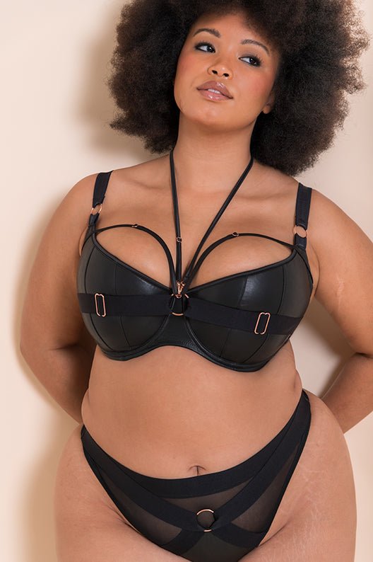 Scantilly by Curvy KateHarnessed Thong Black ST008207BLKBravo Bra Boutique