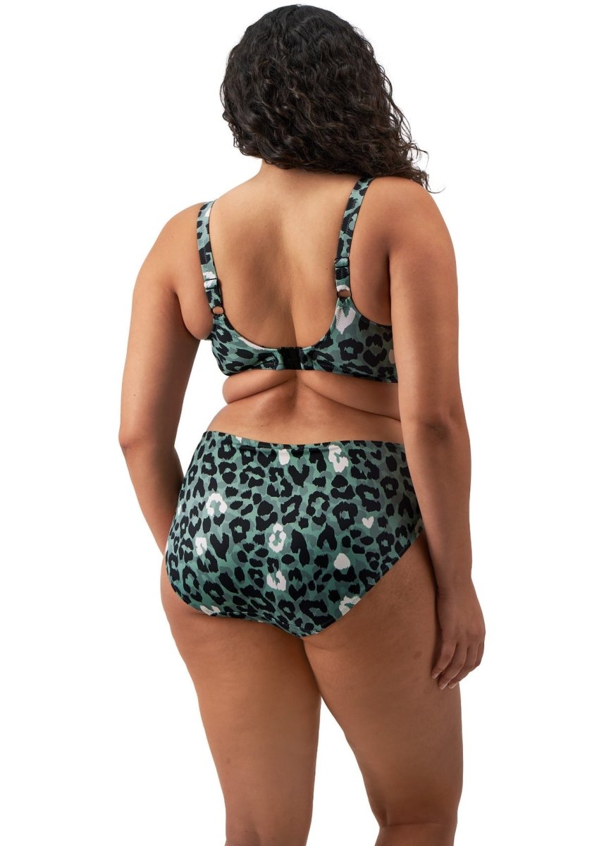 Elomi SwimJungle Bay Mid Rise Bikini Brief ES802072OLEBravo Bra Boutique