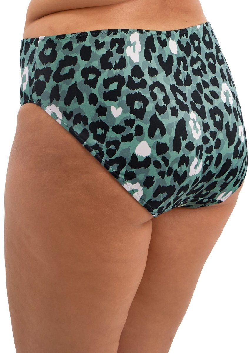 Elomi SwimJungle Bay Mid Rise Bikini Brief ES802072OLEBravo Bra Boutique