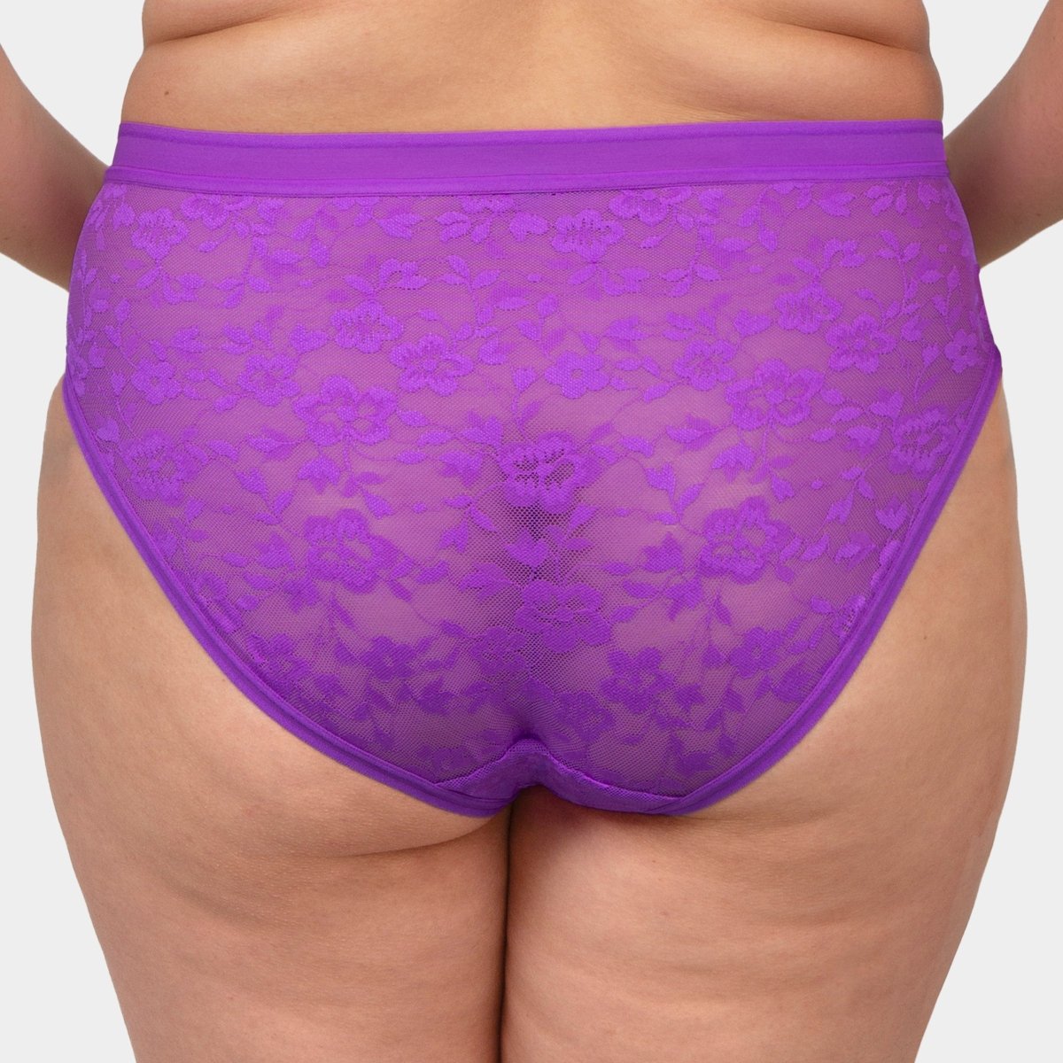 Curvy CoutureLace High Cut Brief Panty 1363Bravo Bra Boutique