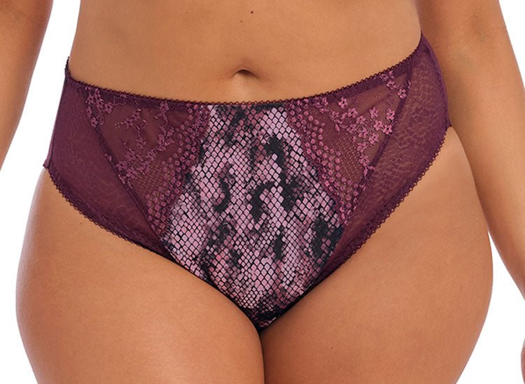 ElomiLucie Brazilian Panty Mambo EL4495MABBravo Bra Boutique