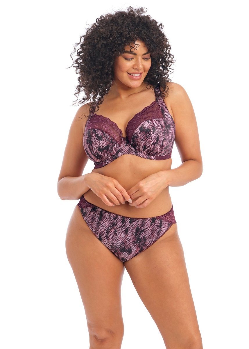 ElomiLucie Brazilian Panty Mambo EL4495MABBravo Bra Boutique