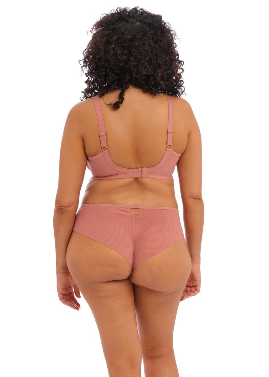 ElomiPriya Brazilian EL4557Bravo Bra Boutique