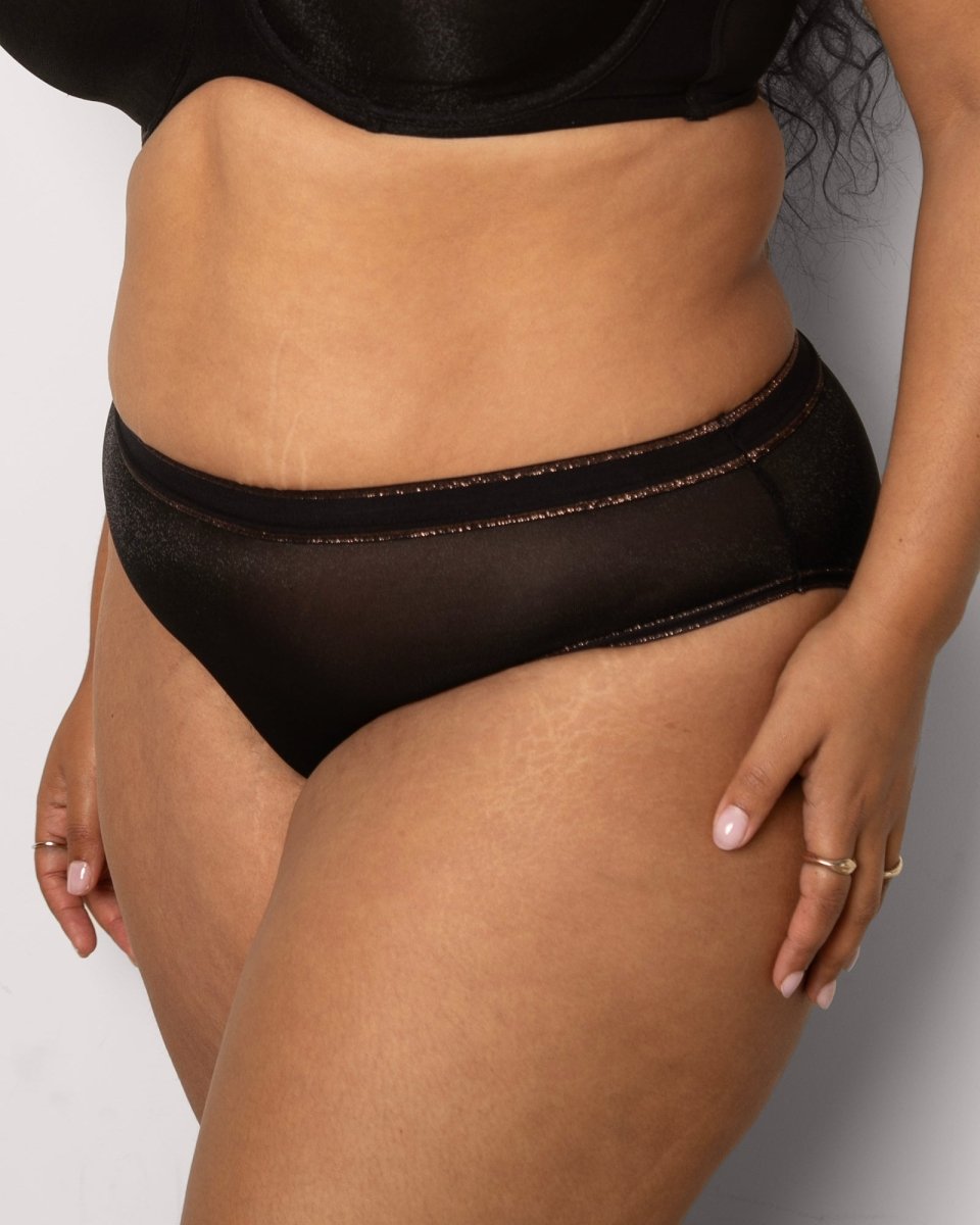 Curvy CoutureShimmer High Cut Brief Panty - 1386Bravo Bra Boutique