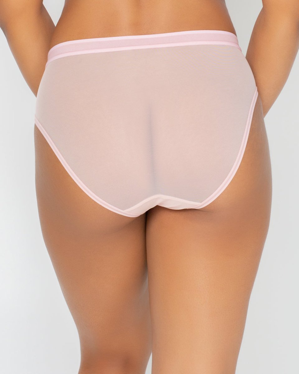Sheer Mesh High Cut Brief Panty Blushing Rose-1313S – Bravo Bra Boutique